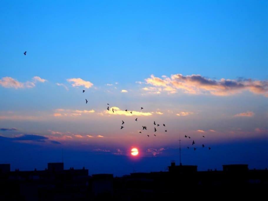 Skyapartment * Berlino